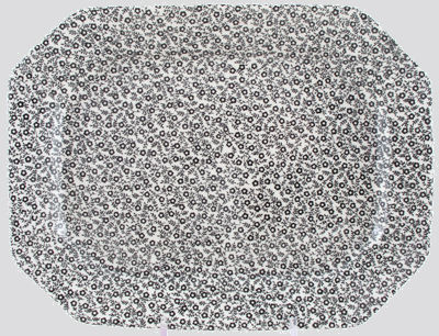 Meat Dish or Platter rectangular medium large